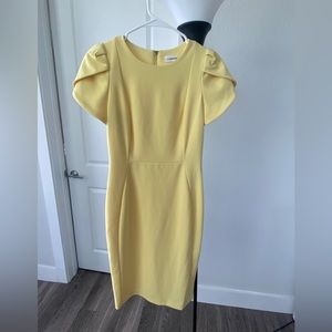Calvin Klein work dress